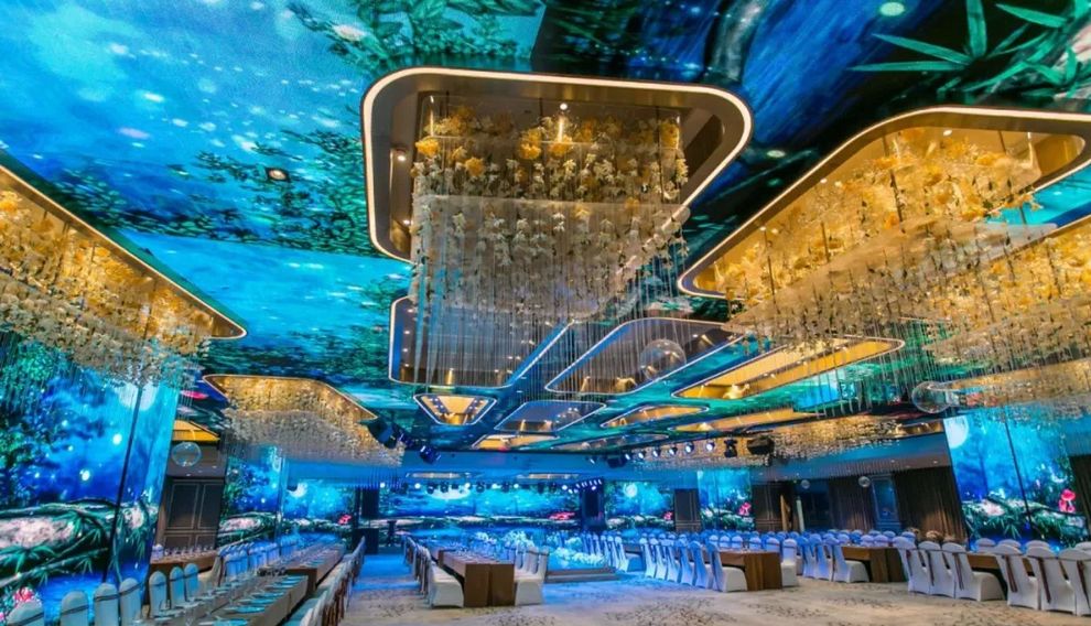 抖圈-为du而生官网入口