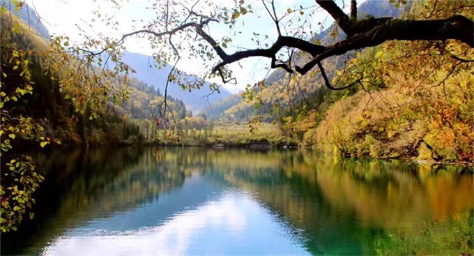 抖圈-为du而生官网入口