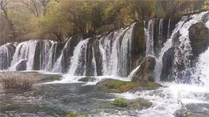 抖圈-为du而生官网入口